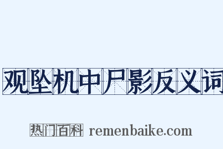 观坠机中尸影反义词是什么意思的图片